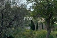529 SQM Plot · Armou (Paphos) for sale 