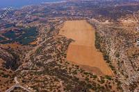 279234 SQM Land · Peyia (Paphos) for sale 
