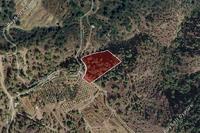 6857 SQM Land in Pelendri (Limassol) for sale 
