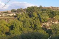 5352 SQM Land in Stroumbi (Paphos) for sale 