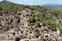 29098 SQM Land · Pelendri (Limassol) for sale 