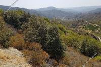 12630 SQM Land · Pelendri (Limassol) for sale 