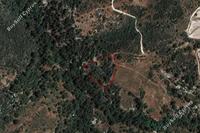 8027 SQM Plot in Dora (Limassol) for sale 