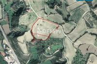 16742 SQM Land in Goudi (Paphos) for sale 