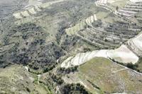 10606 SQM Land · Omodos (Limassol) for sale 