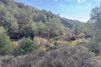 8696 SQM Land in Kato Lefkara (Larnaca) for sale 