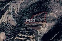 12660 SQM Land · Loukrounou (Paphos) for sale 
