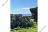2 Bedroom Bungalow in Ormideia (Larnaca) to rent 