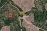 13525 SQM Land in Lageia (Larnaca) for sale 