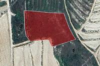 8027 SQM Land · Vasa Kilaniou (Limassol) for sale 