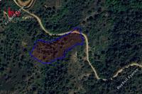 6355 SQM Land in Kalopanagiotis (Nicosia) for sale 