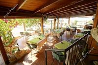  Restaurant in Tala (Paphos) for sale 