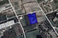 7109 SQM Plot in Kissonerga (Paphos) for sale 