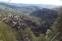 7693 SQM Land in Amargeti (Paphos) for sale 