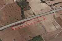 5830 SQM Land in Mazotos (Larnaca) for sale 