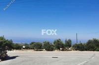850 SQM Plot in Tala (Paphos) for sale 