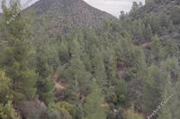 2342 SQM Land · Pano Lefkara (Larnaca) for sale 