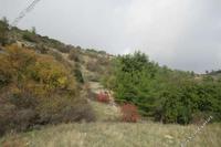 3679 SQM Land · Arminou (Paphos) for sale 