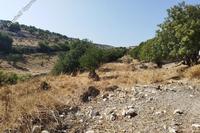 11037 SQM Land · Malia (Limassol) for sale 