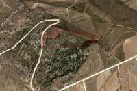 19247 SQM Land in Arodes (Paphos) for sale 
