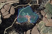 18730 SQM Land in Pissouri (Limassol) for sale 