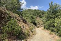 3271 SQM Land in Platanistasa (Nicosia) for sale 