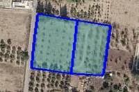 7360 SQM Plot · Fasoula Lemesou (Limassol) for sale 