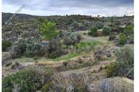 12145 SQM Land in Asgata (Limassol) for sale 