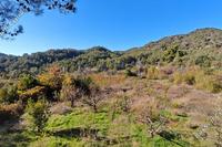 2007 SQM Land in Moniatis (Limassol) for sale 
