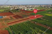 7465 SQM Land · Liopetri (Famagusta) for sale 