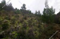 12041 SQM Land in Fikardou (Nicosia) for sale 