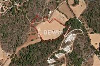 22910 SQM Land · Lysos (Paphos) for sale 