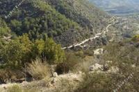 11037 SQM Land in Kallepeia (Paphos) for sale 