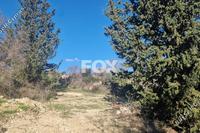 1338 SQM Land · Tsada (Paphos) for sale 