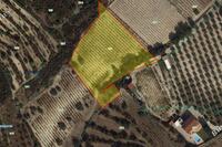 6050 SQM Land in Kapileio (Limassol) for sale 