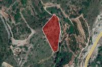 5686 SQM Land in Pelendri (Limassol) for sale 