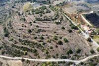 12245 SQM Land · Pachna (Limassol) for sale 