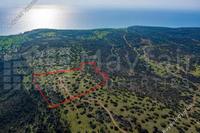 40135 SQM Plot · Pissouri (Limassol) for sale 