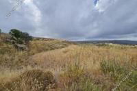 4014 SQM Land · Ineia (Paphos) for sale 