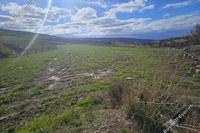 4014 SQM Land · Ineia (Paphos) for sale 