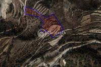 7484 SQM Land in Korfi (Limassol) for sale 
