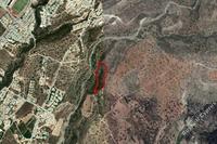 8696 SQM Land · Peyia (Paphos) for sale 
