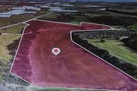 23000 SQM Land in Anafotida (Larnaca) for sale 