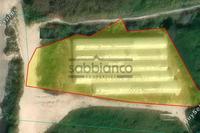 2007 SQM Land in Kissonerga (Paphos) to rent 