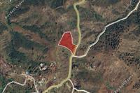 7024 SQM Land in Pano Pyrgos (Nicosia) for sale 