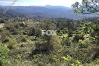 4683 SQM Land · Pera Pedi (Limassol) for sale 