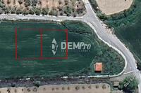 530 SQM Land in Stroumbi (Paphos) for sale 