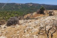 16054 SQM Land in Archimandrita (Paphos) for sale 