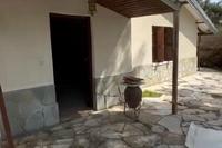 4 Bedroom Detached house in Pano Platres (Limassol) for sale 