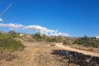 3011 SQM Land · Peyia (Paphos) for sale 